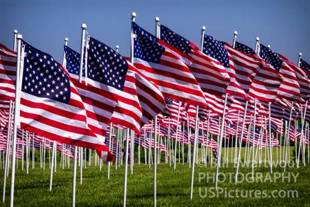 Flags For Heroes in Easton MD