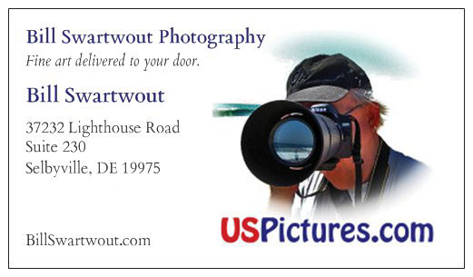 US Pictures Business Card Preview