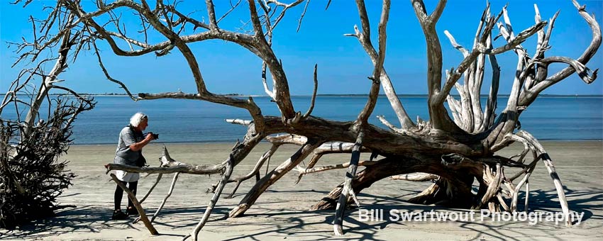 photographing on drifwood beach, jekyll island, georgia