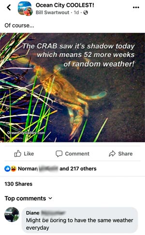 crab weather meme data sample