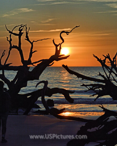 Catching the sun in her arms on driftwood beach.