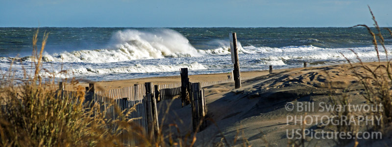 Fenwick Island Dunes and Waves