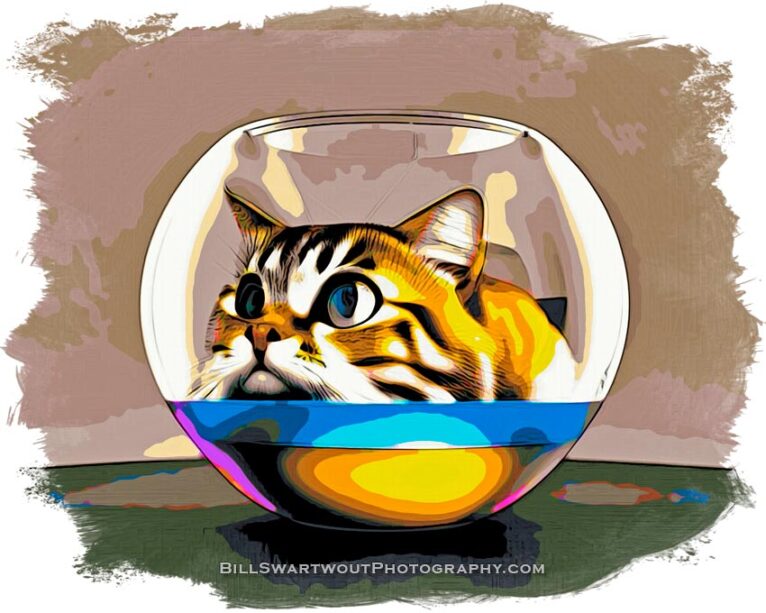 cat in a fishbowl or a fish bowl