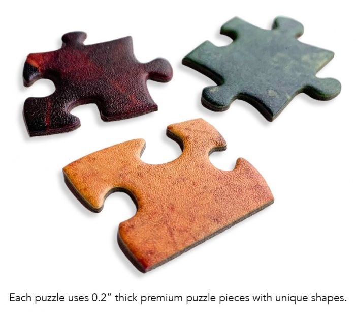 Representative Jigsaw Puzzle Pieces to Illustrate the High Quality of the Product
