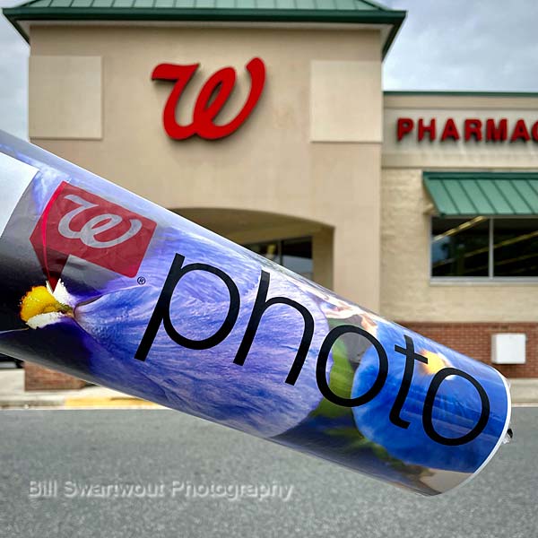 photo print from walgreens pharmacy